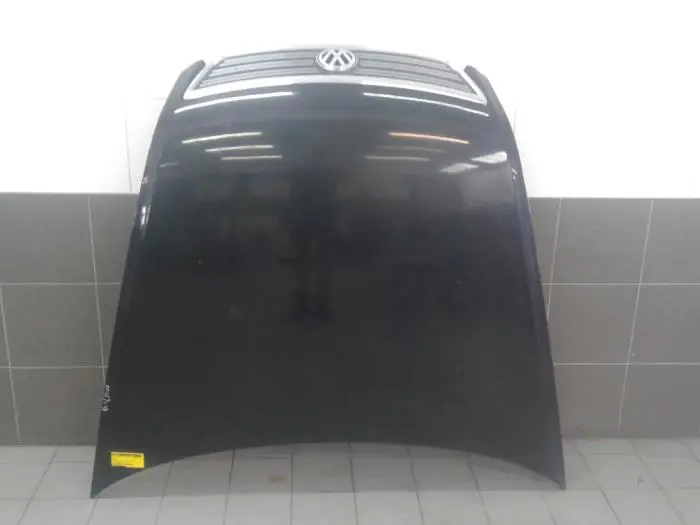 Motorhaube Volkswagen Phaeton